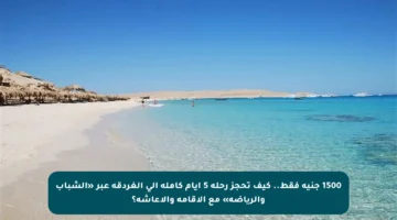 1500 جنيه فقط.. كيف تحجز رحلة 5 أيام كاملة إلى الغردقة عبر «الشباب والرياضة» مع الإقامة والإعاشة؟